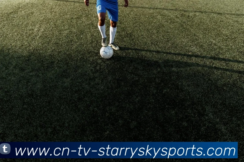 星空体育发展历程