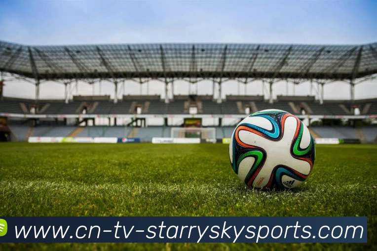 汉诺威96足球俱乐部：这支德甲球队的现状与战绩